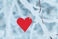 Paper heart hanging on snow tree branch for Valentines day