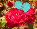 Paper heart I Love You on the red rose Royalty Free Stock Photo