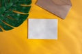 Paper konyert and green monstera leaf on a warm orange background. Flat workplace. Top view, with empty space for text