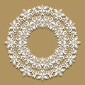 Paper lace background, round vignette, ornamental lacy fr