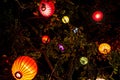 Paper lantern lamps in a tree in Hoi An, Vietnam