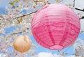 Paper lanterns hanami decoration Royalty Free Stock Photo