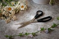 Paper letters, craft carpet, quill, inkwell and flowers lie on the table. Bright sunny day. View from above.