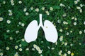 Paper lungs with flowers on a white background. Asthma concept Royalty Free Stock Photo