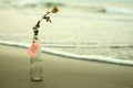 Paper message on the bottle - Love your life. With dried white rose in a vase glass on sands , white light background of the beach