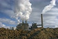 Paper Mill with Stacks of Trees to be processed Royalty Free Stock Photo