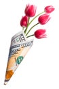 Paper money bag out of one hundred dollars with pink tulip