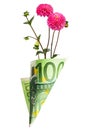 Paper money bag out of one hundred euros with pink dahlia flower Royalty Free Stock Photo