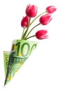 Paper money bag out of one hundred euros with tulip flowers