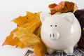 Paper Money and a Piggy Bank in the fall Royalty Free Stock Photo