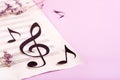 Paper musical clef and paper notes on a sheet of music and dry flowers