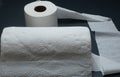 Paper Necessities For Kitchen And Bathroom