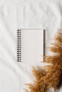 Paper note, list, goals on white texture background with papmpas grass