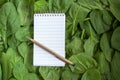 Paper notepad and pen for recipe or shopping list on a full frame background from fresh organic spinach leaves, copy space, high Royalty Free Stock Photo