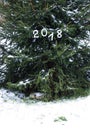 Paper numbers 2018 on fir tree branches. Royalty Free Stock Photo
