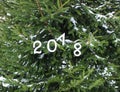 Paper numbers on fir tree green branches. Royalty Free Stock Photo