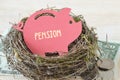 Paper piggy bank with the word Pension in nest on money - Concept of pension fund Royalty Free Stock Photo