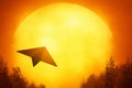 Paper plane sunset on 3d illustrations Royalty Free Stock Photo