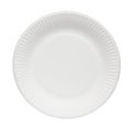 Paper plate. Royalty Free Stock Photo