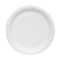Paper plate Royalty Free Stock Photo