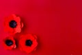 paper Poppy flower on red background. Decorative paper flower for Remembrance Day. Memorial Day. Veterans day Royalty Free Stock Photo