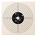 Paper rifle target with bullet holes