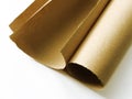 Paper roll