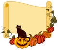 Paper scroll background and a black cat sitting up on the Halloween pumpkin. Royalty Free Stock Photo