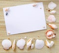 Paper with seashells