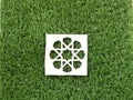 Paper shape on an ordinary grass