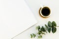 Paper A4 sheet mockup. White table desk with cup of coffee and eucalyptus. Top view, copy space Royalty Free Stock Photo