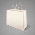 Paper shopping bag with handles