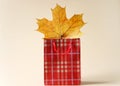 Paper shopping bag and maple leaf on a light background. Concept of autumn and seasonal discounts and sales. Autumn sale. Free