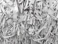 Paper shredded recycle background Royalty Free Stock Photo