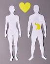 A paper silhouette of man and woman with a yellow stomach and heart on a gray background Royalty Free Stock Photo