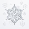 Paper snowflake