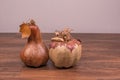 Paper squash and pumpkin on a hardwood ground