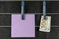 Paper sticker and a one hundred dollar bill hanging from clothespins Royalty Free Stock Photo