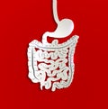 Paper stomach and bowels on a red background