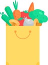 Paper Store Bag Filled Healthy Food