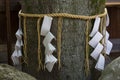 Paper and straw Shimenawa around tree