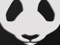 Paper style panda snout