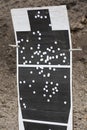 Paper Target with Bullet Holes
