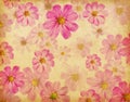 Paper texture with beautiful pink flowers. Royalty Free Stock Photo