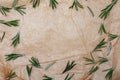 Paper texture with Branches and leaves of rosemary with copy space spices collection. On rustic background. Top view Royalty Free Stock Photo