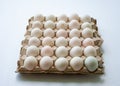 Paper trays for egg storage.