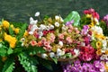 Paper tropical flowers exposed for decoration of a boat.