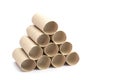 Paper tube of toilet paper