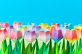 Paper tulip field with a blue background