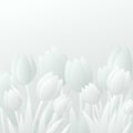 Paper tulips on white background. Greeting card Royalty Free Stock Photo